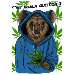 Carte postale Koala Question